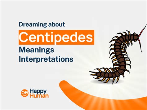46+ Dream Of Centipede Meanings and Interpretations.